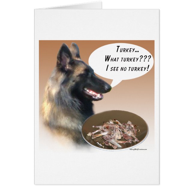 Tervuren Turquía (Frente)