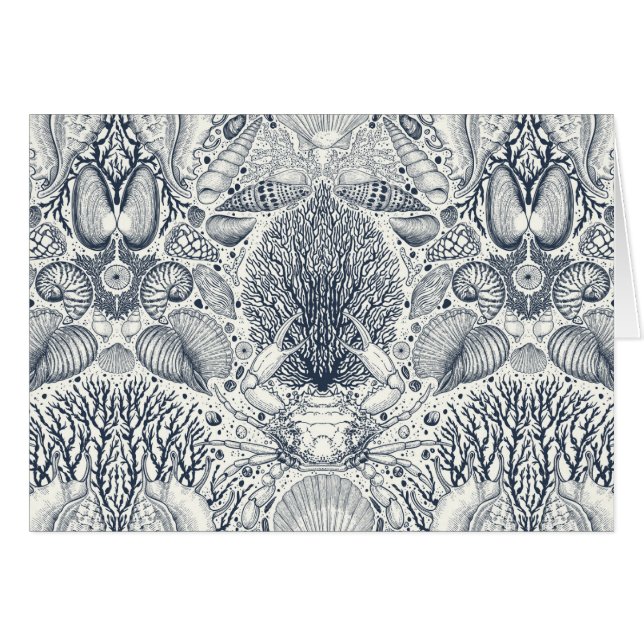 Tesoros de playa, conchas marinas, cangrejos, cora (Anverso (Horizontal))