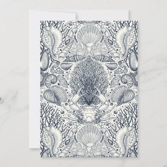 Tesoros de playa, conchas marinas, cangrejos, cora (Anverso)