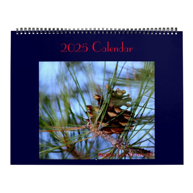 Tesoros encontrados a diario. Calendario (Tapa)