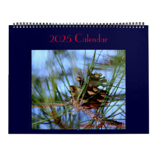 Tesoros encontrados a diario. Calendario