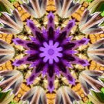 TETERA CLEMATIS<br><div class="desc">Un bonito y vibrante diseño abstracto de una flor clematis morada.</div>
