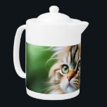 Tetera "Fluff and Cuddle: El gato persa chupado"<br><div class="desc">Fotos de un felino persa esponjoso llamado Celia a quien le gusta simplemente holgazanear</div>