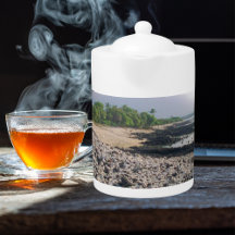 Punalu'u Black Sand Beach Hawaii Big Island