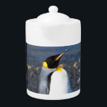 Tetera Retrato pingüino<br><div class="desc">Esta imagen fue tomada en Georgia del Sur de camino a la Antártida. 

Imagen © Angelika Stern</div>