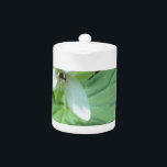 Tetera trillium blanco con verde<br><div class="desc">trillium blanco con verde</div>
