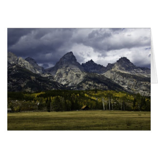 Teton Field