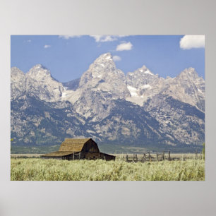 Tetons e impresión vieja del granero