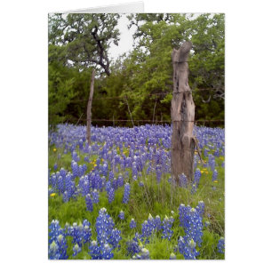 Texas Bluebonnets and Natural Wood Fence Post