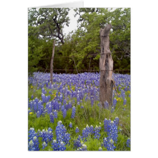 Texas Bluebonnets and Natural Wood Fence Post