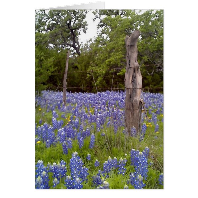 Texas Bluebonnets and Natural Wood Fence Post (Frente)