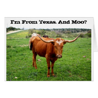 Texas Longhorn Con Tejas Divertidas