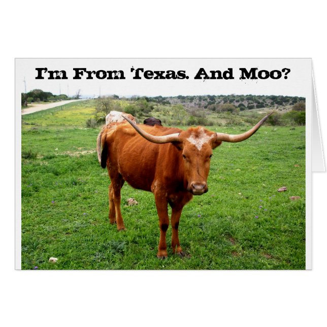 Texas Longhorn Con Tejas Divertidas (Anverso (Horizontal))