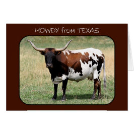 Texas Longhorn Cow Howdy desde Texas