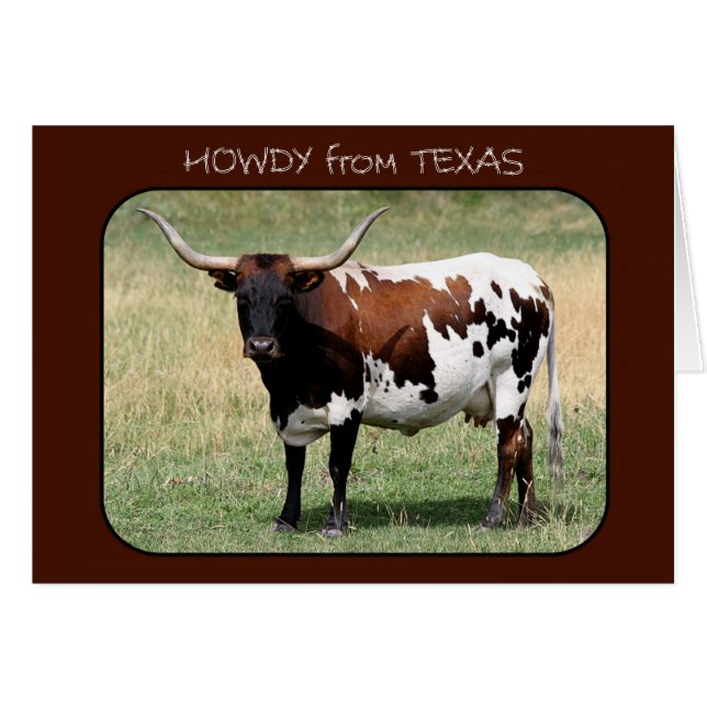 Texas Longhorn Cow Howdy desde Texas (Anverso (Horizontal))