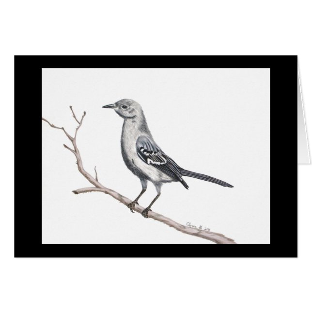 Texas Mockingbird Small Card (Anverso (Horizontal))