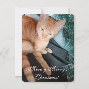 Texto de foto de gato, hacer la suya, tarjeta de N