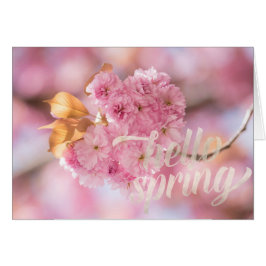 Texto de primavera de bifurcación de cerezo