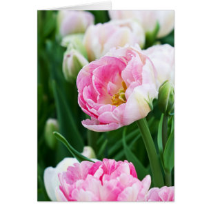 Texto del Personalizado del jardín de primavera de