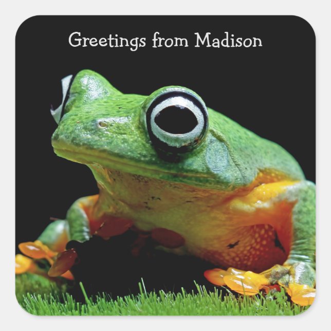 Texto personalizado Pegatinas de Frog Square (Anverso)