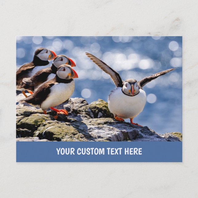 texto personalizado postal Puffin (Anverso)
