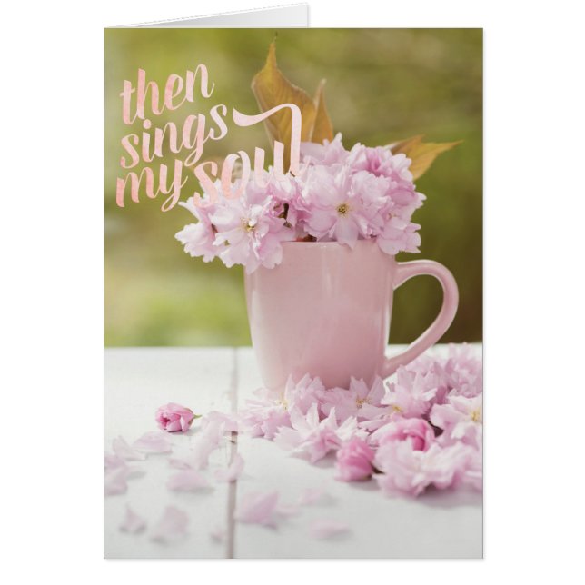 Texto sobre la primavera de la vida residual del c (Frente)