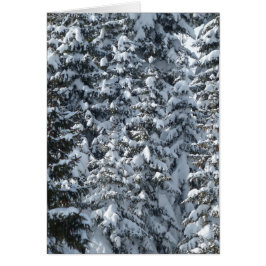 Textura de árbol de flor de nieve