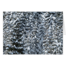Textura de árbol de flor de nieve