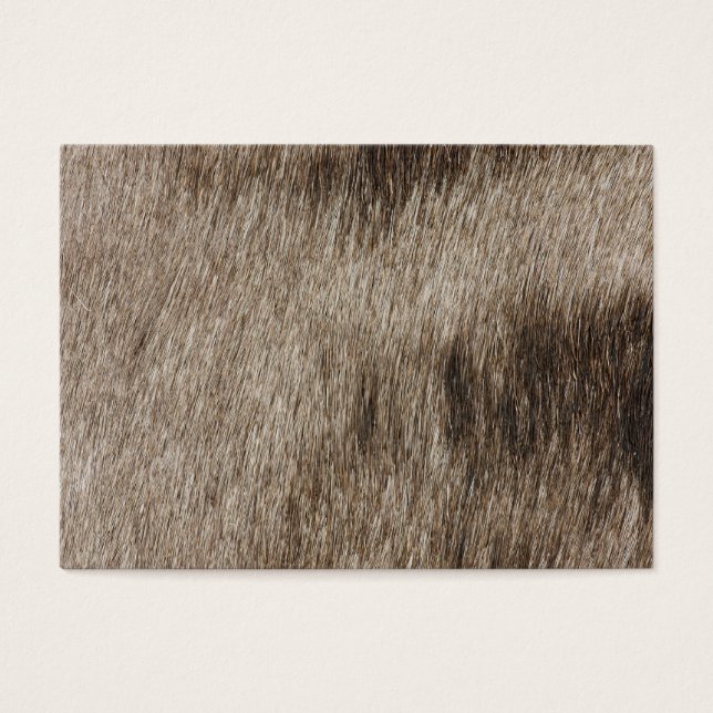Textura de piel de animal (Frente)