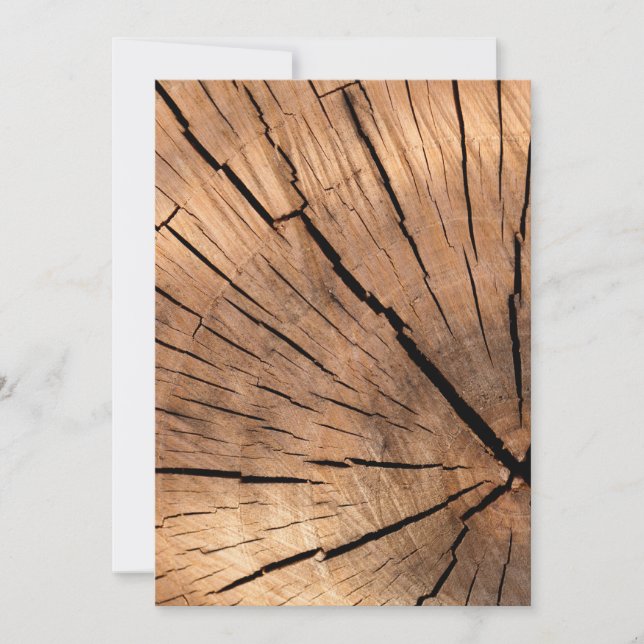 Textura de traza de árbol (Anverso)