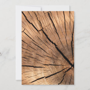 Textura de traza de árbol