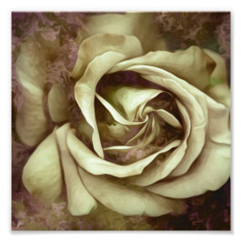 Textura gruesa pintura Rosa foto impresa
