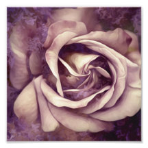 Textura gruesa pintura Rosa foto impresa