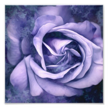 Textura gruesa pintura Rosa foto impresa