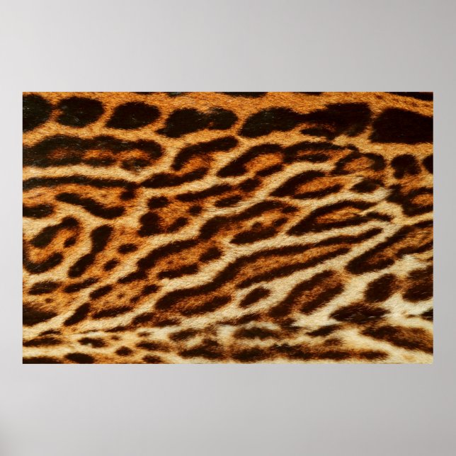 Texturas de piel de leopardo. Impresión de animale (Frente)