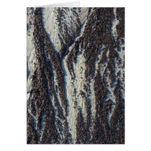 texturas de playa con algas marinas