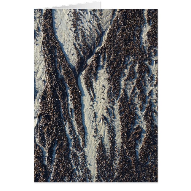 texturas de playa con algas marinas (Frente)