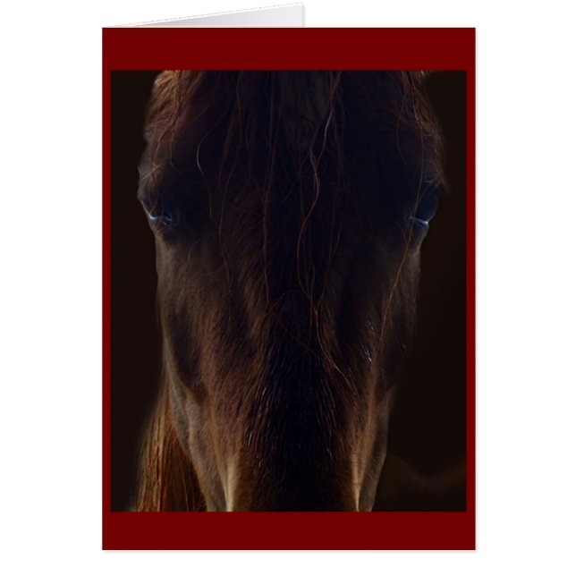 The dark horse card (Frente)