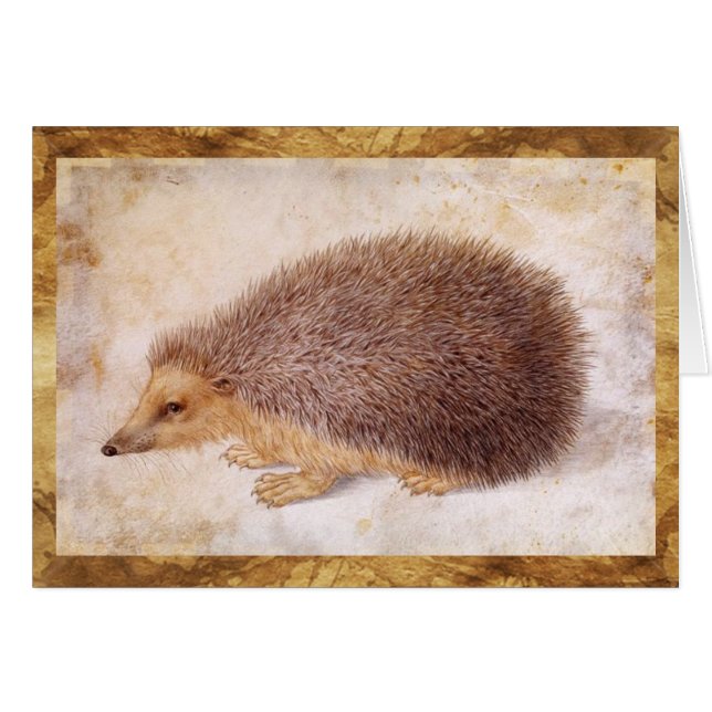 THE HEDGEHOG (Anverso (Horizontal))