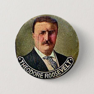 Theodore Roosevelt - botón