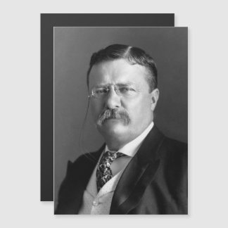 Theodoro Roosevelt Teddy Presidente Republicano