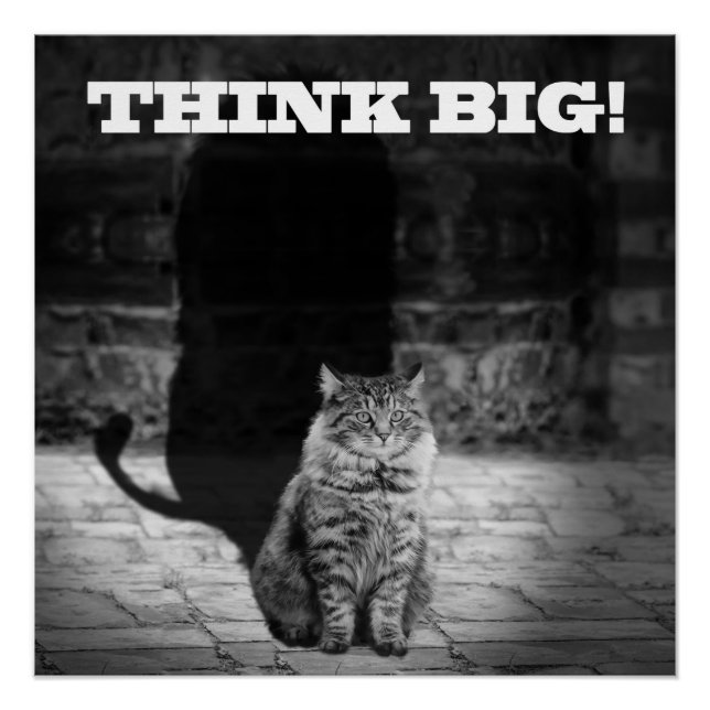 "Think Big" Cat Shadow Poster 20" x 20" (Anverso)