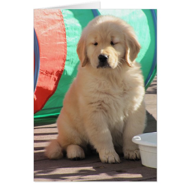 Thinkin de oro (Frente)