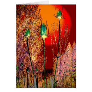 Thistle Mania