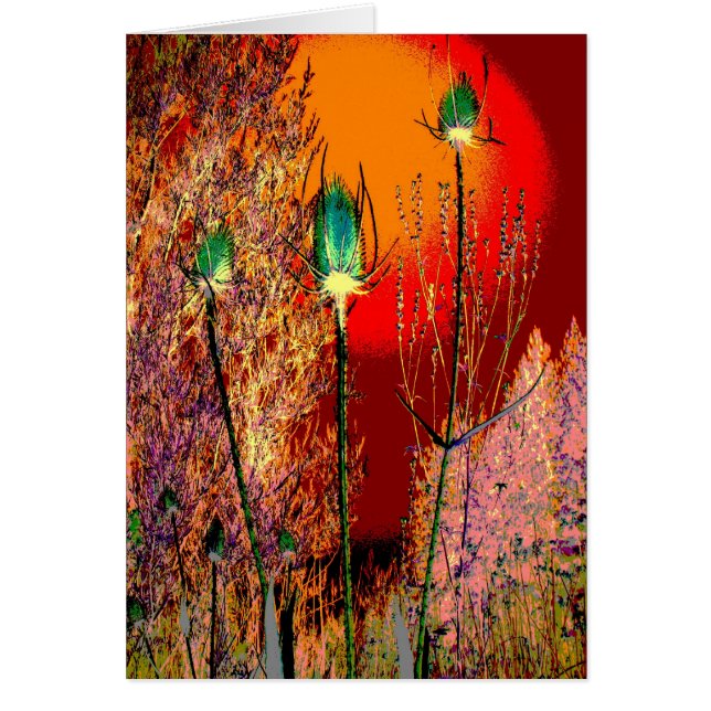 Thistle Mania (Frente)