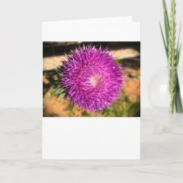 Thistle, tarjeta