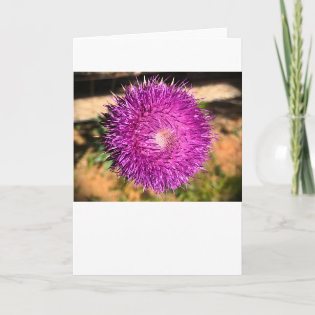 Thistle, tarjeta (Anverso)