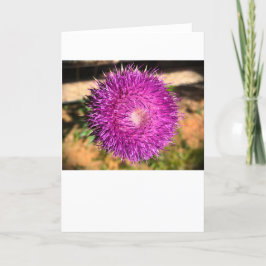 Thistle, tarjeta