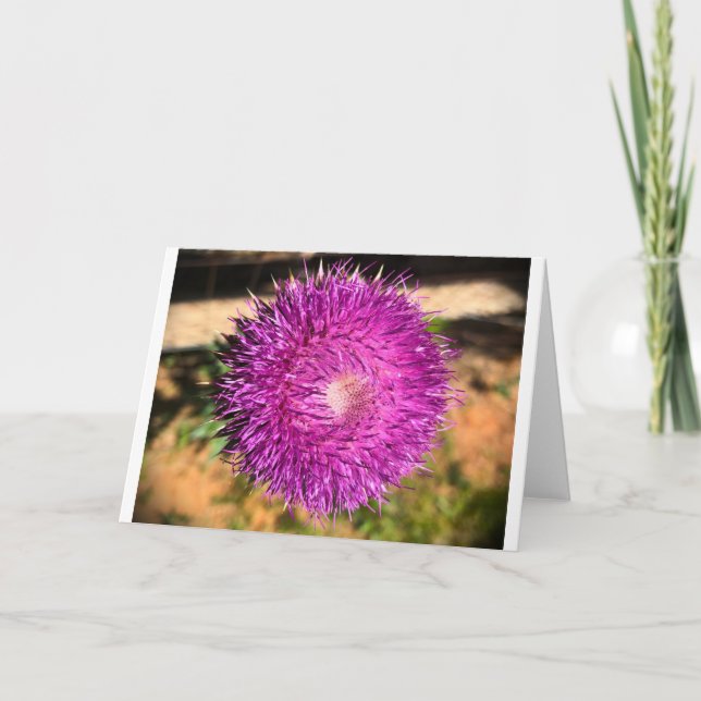 Thistle, tarjeta (Anverso)