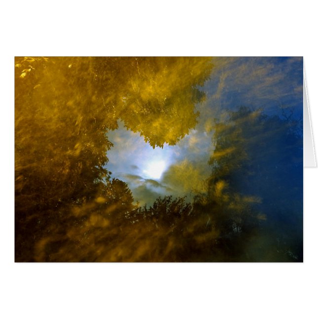 "thomas moran visión de ojo cerrado" (Anverso (Horizontal))